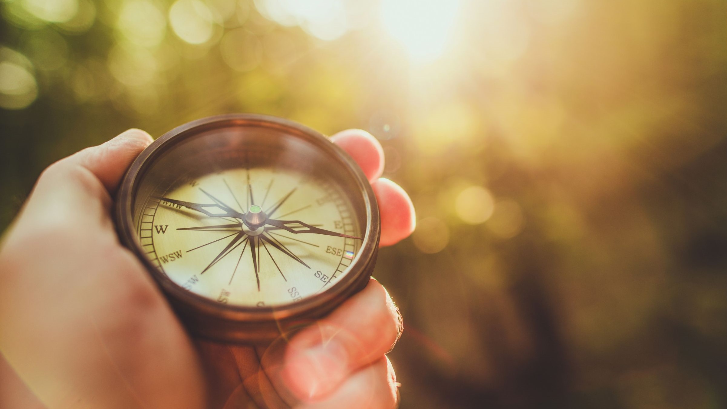 Learn 探求と実践