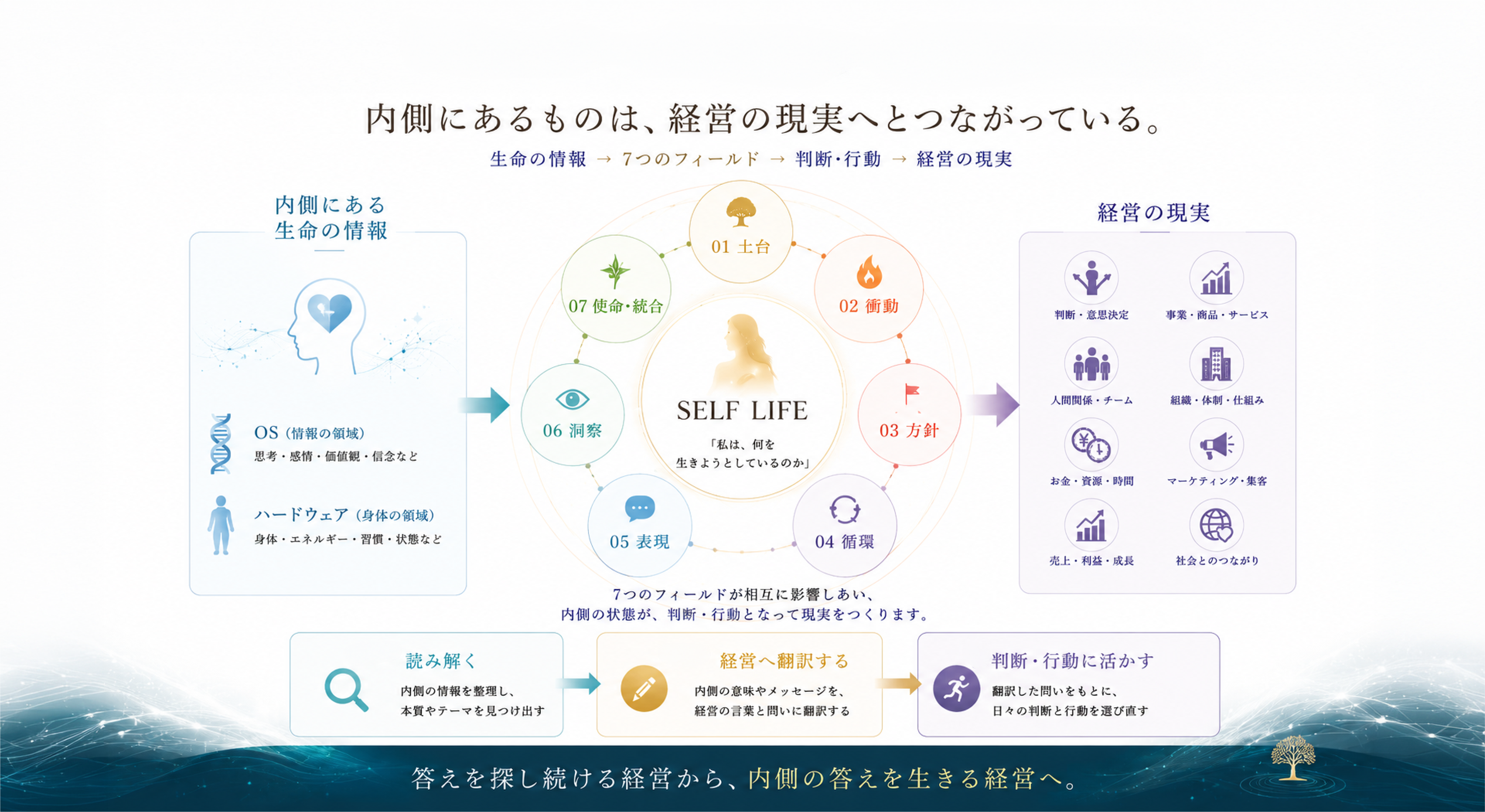 内側にあるものは、経営の現実へとつながっている。生命の情報 → 7つのフィールド → 判断・行動 → 経営の現実