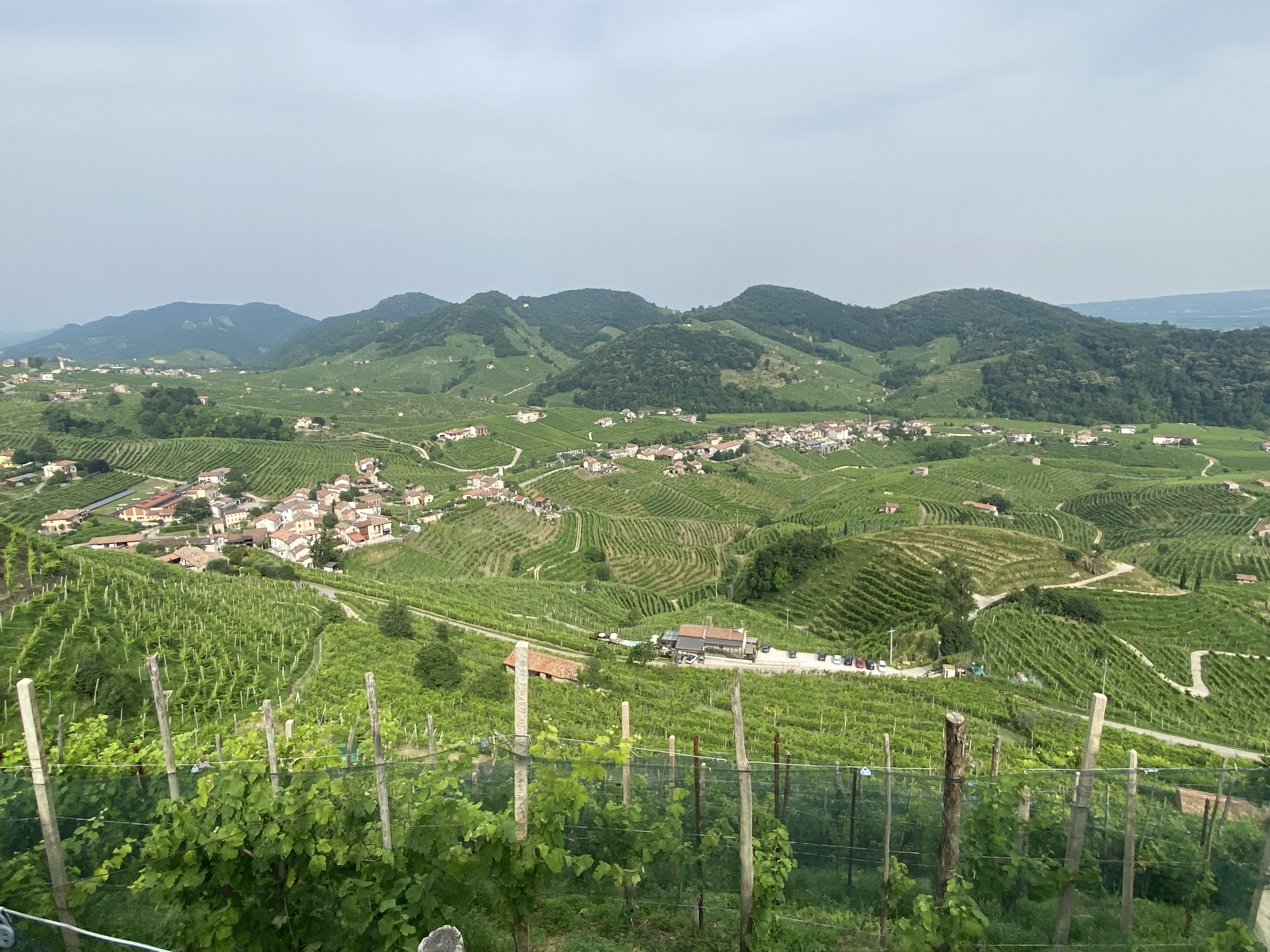 プロセッコの丘